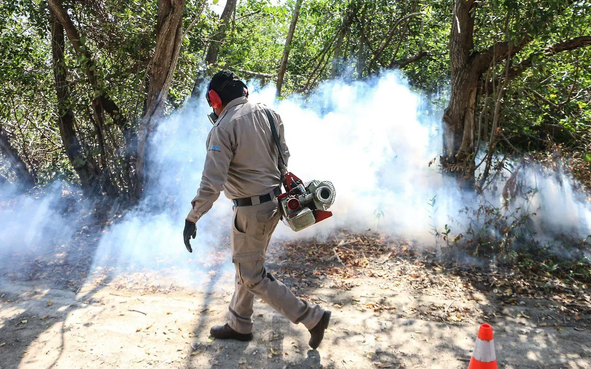 Llaman a emprender refumigación contra el dengue en Nuevo Laredo 